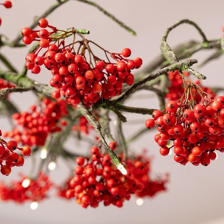 Herbarium Boutique Hotel Olomouc Ngoại thất bức ảnh